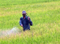 ngo-doc-thuoc-tru-co